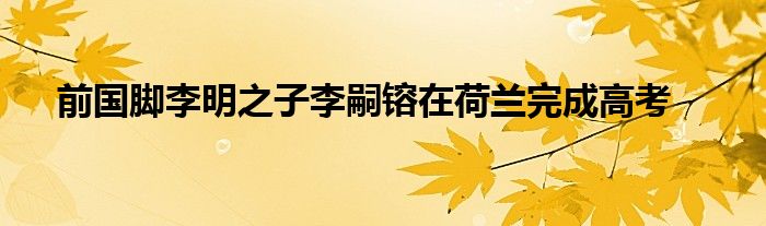 前國腳李明之子李嗣镕在荷蘭完成高考