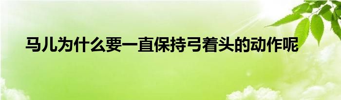 馬兒為什么要一直保持弓著頭的動作呢