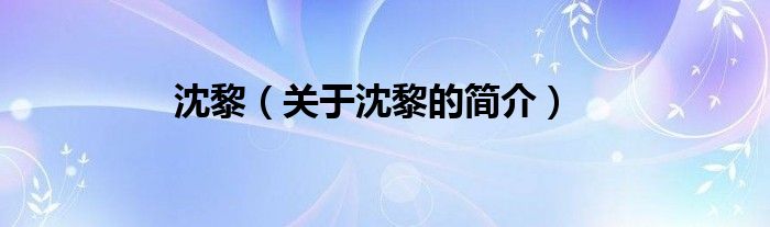 沈黎（關(guān)于沈黎的簡(jiǎn)介）