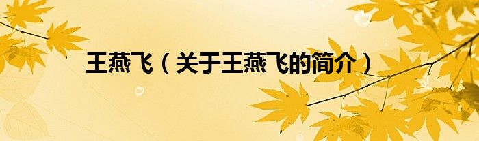 王燕飛（關(guān)于王燕飛的簡(jiǎn)介）