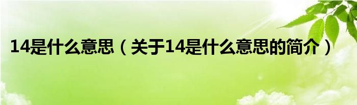 14是什么意思（關于14是什么意思的簡介）