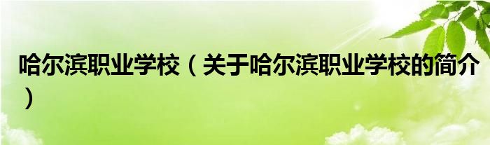 哈爾濱職業(yè)學(xué)校（關(guān)于哈爾濱職業(yè)學(xué)校的簡介）