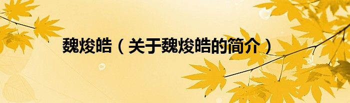 魏焌皓（關(guān)于魏焌皓的簡(jiǎn)介）