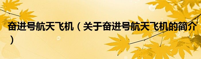 奮進(jìn)號(hào)航天飛機(jī)（關(guān)于奮進(jìn)號(hào)航天飛機(jī)的簡(jiǎn)介）