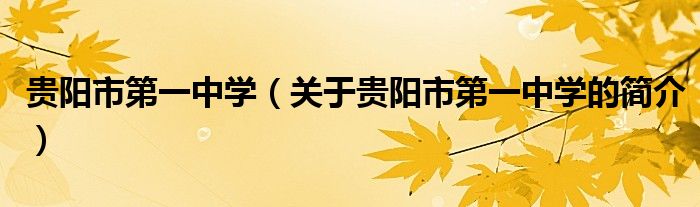 貴陽市第一中學（關(guān)于貴陽市第一中學的簡介）