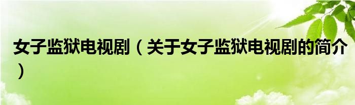 女子監(jiān)獄電視?。P(guān)于女子監(jiān)獄電視劇的簡介）