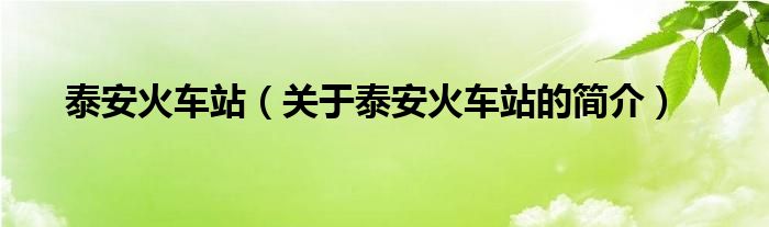 泰安火車站（關(guān)于泰安火車站的簡(jiǎn)介）