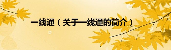 一線通（關(guān)于一線通的簡(jiǎn)介）