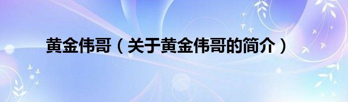 黃金偉哥（關(guān)于黃金偉哥的簡介）