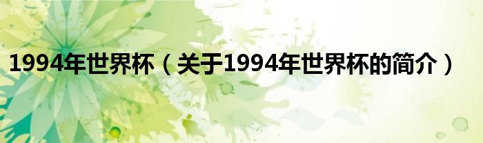 1994年世界杯（關(guān)于1994年世界杯的簡(jiǎn)介）