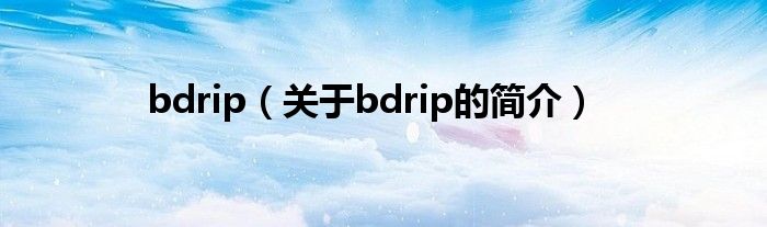 bdrip（關于bdrip的簡介）