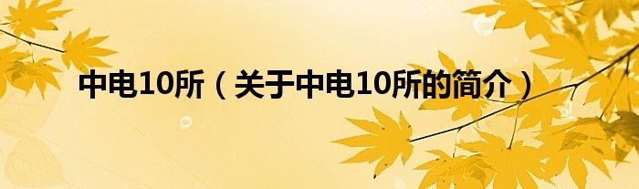 中電10所（關(guān)于中電10所的簡介）