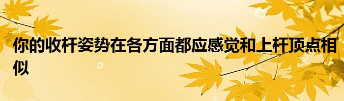 你的收桿姿勢在各方面都應感覺和上桿頂點相似