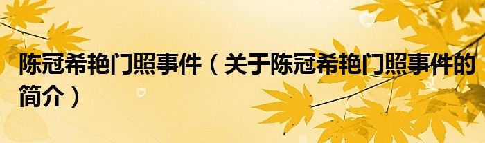 陳冠希艷門照事件（關(guān)于陳冠希艷門照事件的簡介）