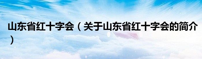 山東省紅十字會（關(guān)于山東省紅十字會的簡介）