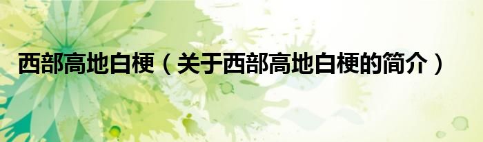 西部高地白梗（關(guān)于西部高地白梗的簡(jiǎn)介）