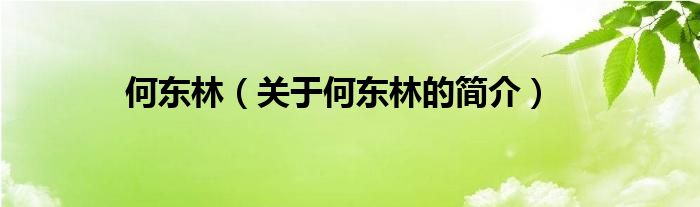 何東林（關(guān)于何東林的簡介）