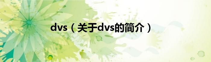 dvs（關(guān)于dvs的簡介）