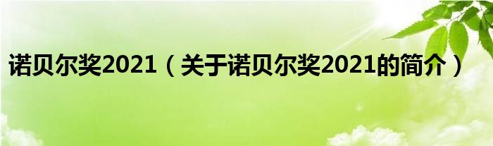 諾貝爾獎2021（關于諾貝爾獎2021的簡介）