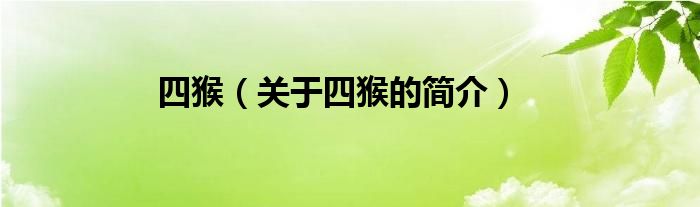 四猴（關(guān)于四猴的簡(jiǎn)介）