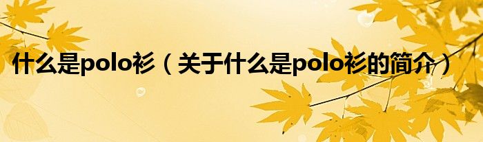 什么是polo衫（關(guān)于什么是polo衫的簡介）