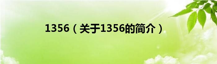 1356（關(guān)于1356的簡(jiǎn)介）