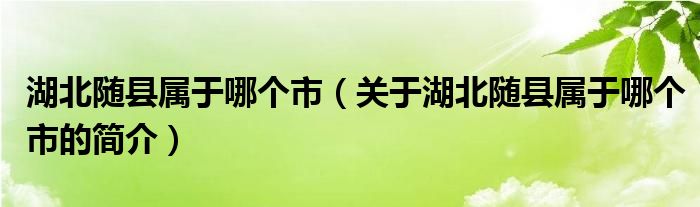 湖北隨縣屬于哪個(gè)市（關(guān)于湖北隨縣屬于哪個(gè)市的簡介）