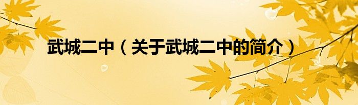 武城二中（關(guān)于武城二中的簡(jiǎn)介）