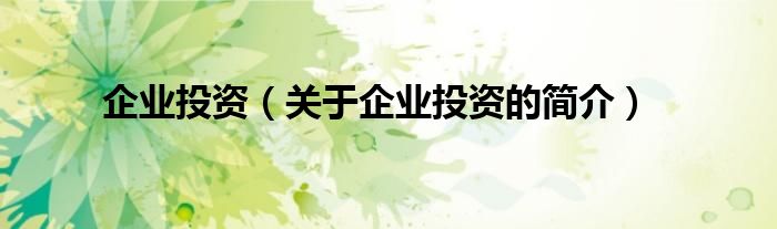 企業(yè)投資（關(guān)于企業(yè)投資的簡(jiǎn)介）