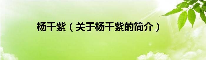 楊千紫（關(guān)于楊千紫的簡介）