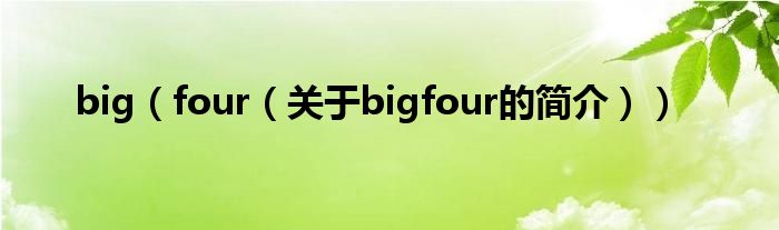 big（four（關(guān)于bigfour的簡(jiǎn)介））