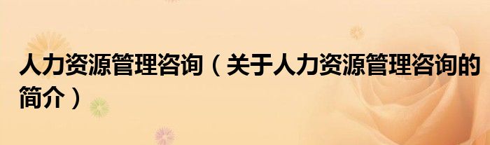 人力資源管理咨詢（關(guān)于人力資源管理咨詢的簡介）