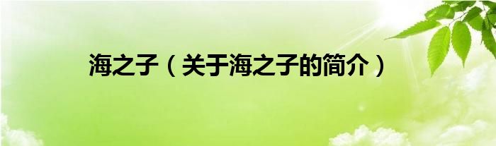 海之子（關(guān)于海之子的簡介）