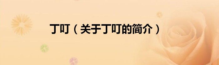 丁叮（關(guān)于丁叮的簡(jiǎn)介）