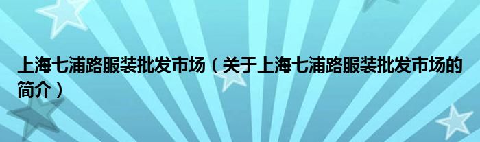 上海七浦路服裝批發(fā)市場（關于上海七浦路服裝批發(fā)市場的簡介）