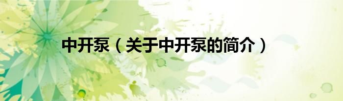 中開(kāi)泵（關(guān)于中開(kāi)泵的簡(jiǎn)介）