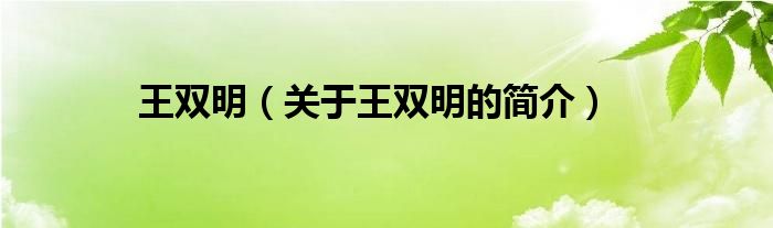 王雙明（關(guān)于王雙明的簡(jiǎn)介）