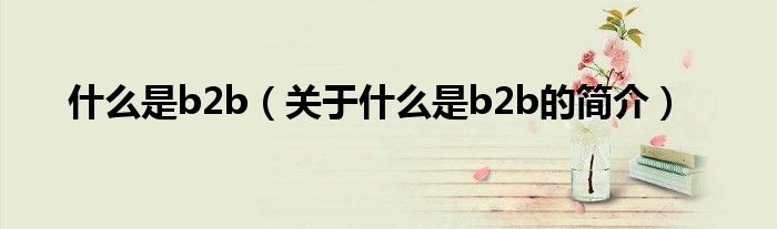 什么是b2b（關(guān)于什么是b2b的簡(jiǎn)介）