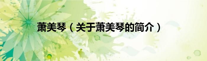 蕭美琴（關(guān)于蕭美琴的簡(jiǎn)介）