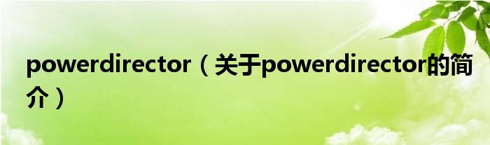 powerdirector（關(guān)于powerdirector的簡(jiǎn)介）