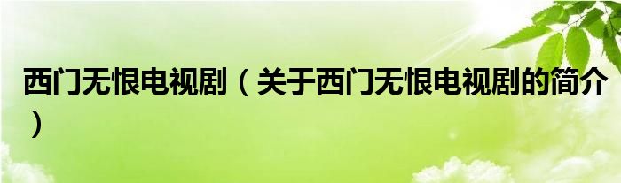 西門無(wú)恨電視?。P(guān)于西門無(wú)恨電視劇的簡(jiǎn)介）