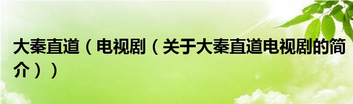 大秦直道（電視?。P(guān)于大秦直道電視劇的簡(jiǎn)介））