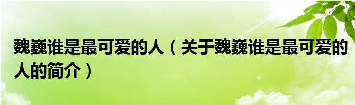 魏巍誰是最可愛的人（關于魏巍誰是最可愛的人的簡介）