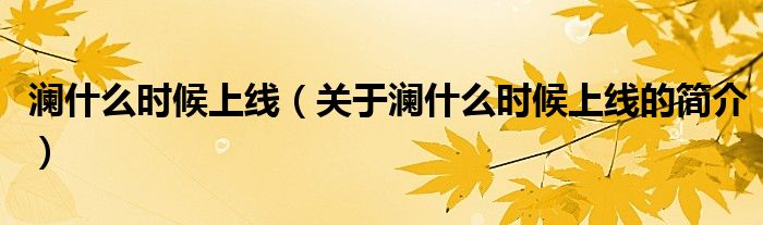 瀾什么時候上線（關(guān)于瀾什么時候上線的簡介）