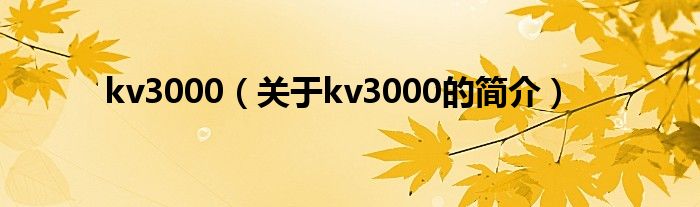 kv3000（關(guān)于kv3000的簡介）