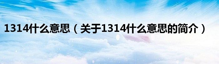 1314什么意思（關(guān)于1314什么意思的簡(jiǎn)介）