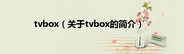 tvbox（關(guān)于tvbox的簡介）