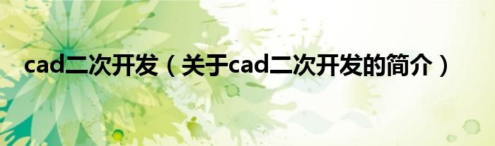 cad二次開發(fā)（關(guān)于cad二次開發(fā)的簡介）