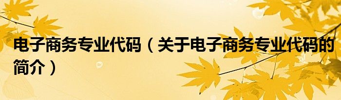 電子商務(wù)專業(yè)代碼（關(guān)于電子商務(wù)專業(yè)代碼的簡介）