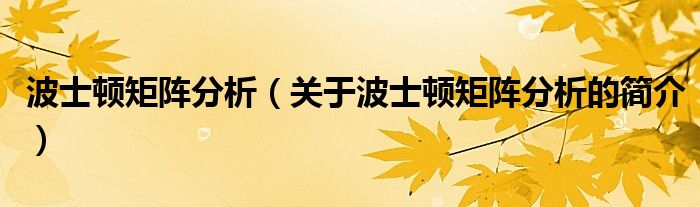 波士頓矩陣分析（關(guān)于波士頓矩陣分析的簡(jiǎn)介）